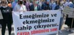 Ardeşen’de Çay Üreticilerine Provokasyon Girişimi