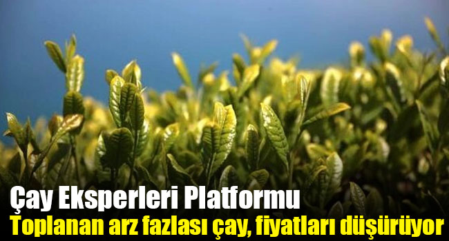 Çay Eksperleri Platformu: Toplanan arz fazlası çay, fiyatları düşürüyor