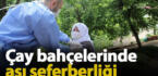 Rize’nin çay bahçelerinde aşı seferberliği