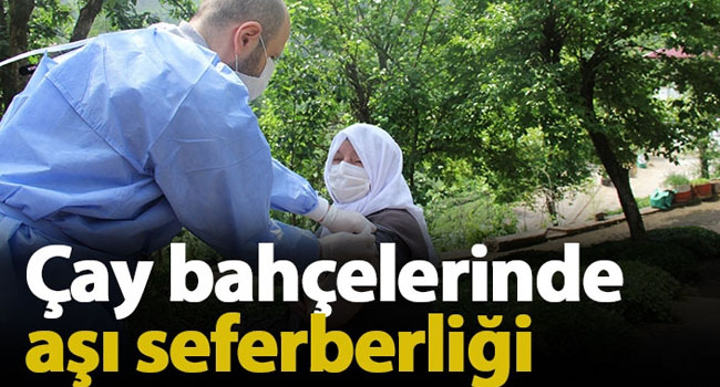 Rize’nin çay bahçelerinde aşı seferberliği