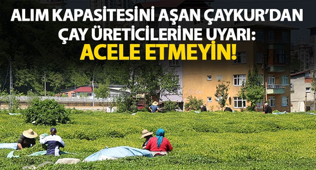 Alım kapasitesini aşan ÇAYKUR’dan üreticilere uyarı: Acele etmeyin!