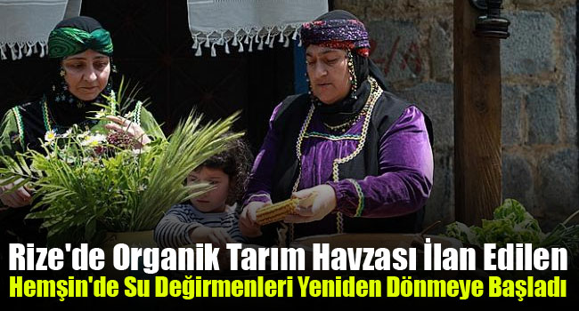 Rize’de Organik Tarım Havzası ilan edilen Hemşin’de su değirmenleri yeniden dönmeye başladı