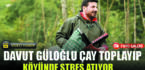 Davut Güloğlu köyünde çay toplayıp, stres atıyor