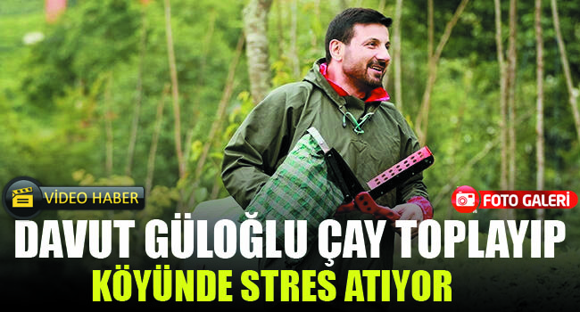 Davut Güloğlu köyünde çay toplayıp, stres atıyor