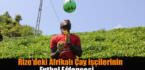 Rize’deki Afrikalı çay işçilerinin futbol eğlencesi