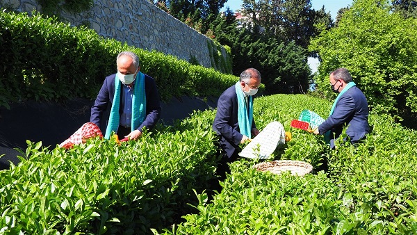 Vali Çeber ; Çay Bizim En Önemli Değerimiz