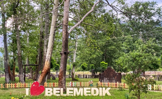 Pandemi sebebiyle meşhur piknik alanı boş kaldı