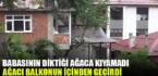 Babasının diktiği armut ağacını kesmeye kıyamadı, balkonun içerisinden geçirdi