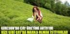 Fındığın başkenti Giresun’da çay üretimi de her geçen gün artıyor