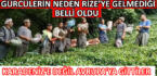 Gürcülerin neden Rize’ye gelmediği belli oldu