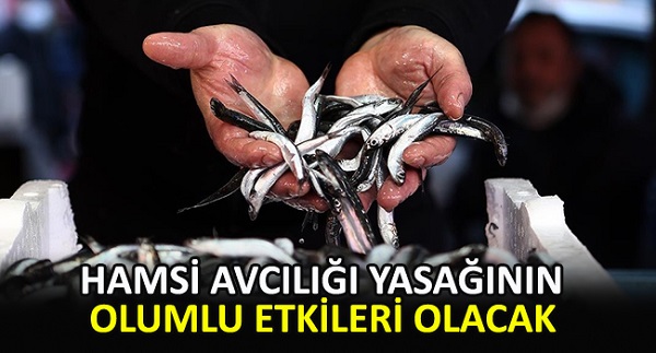 ”Hamsi avcılığına getirdiğimiz kısıtlamanın olumlu etkileri önümüzdeki yıllarda görülecek”