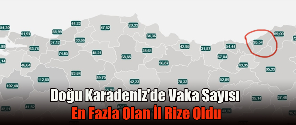 Doğu Karadeniz’de vaka sayısı en fazla olan il Rize oldu