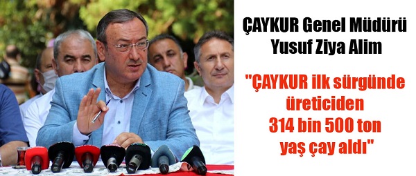 ÇAYKUR Genel Müdürü Yusuf Ziya Alim: “ÇAYKUR ilk sürgünde üreticiden 314 bin 500 ton yaş çay aldı”