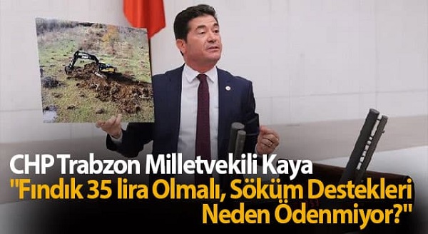 CHP’li KAYA “Fındık 35 lira Olmalı, “Söküm Destekleri Neden Ödenmiyor?”