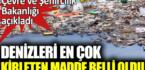 Denizleri en çok kirleten madde belli oldu