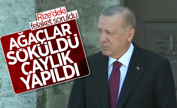 Cumhurbaşkanı Erdoğan: Rize’de ağaçlar sökülüp çaylık yapıldı