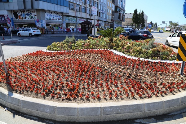 200 BİN BEGONYA VE KADİFE ÇİÇEĞİ RİZE’Yİ SÜSLEYECEK