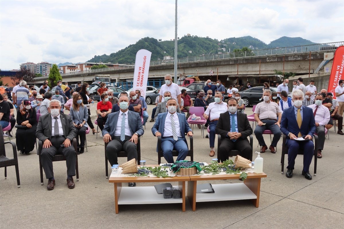 Vali Kemal Çeber Maviyemiş Dağıtım Törenine Katıldı