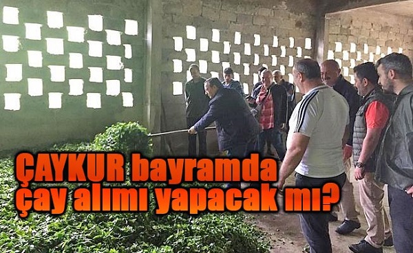 Çaykur Kurban Bayramında çay alımı yapacak mı?