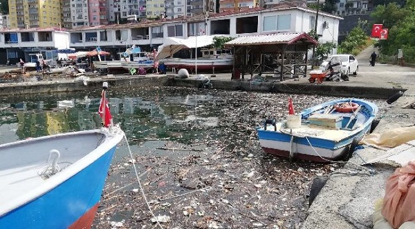 Pazar Soğuksu Balıkçı Barınağı Yüzeyi Çöplük Oldu