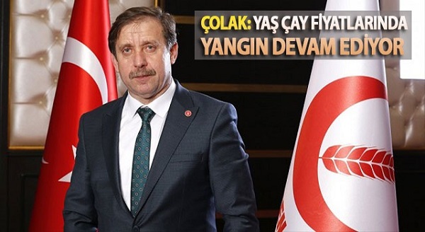 Çolak: Yaş Çay Fiyatlarında Yangın Devam Ediyor