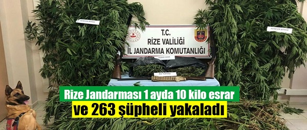 Rize Jandarması 1 ayda 10 kilo esrar ve 263 şüpheli yakaladı