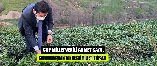 Ahmet Kaya: “Yaş çay 2,40 TL Cumhurbaşkanı’nın derdi Millet İttifakı”