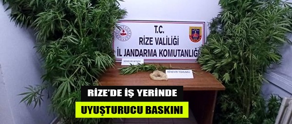 Rize’de iş yerine uyuşturucu baskını