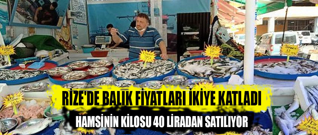 RİZE’DE BALIK FİYATLARI İKİYE KATLADI. HAMSİNİN KİLOSU 40 LİRADAN SATILIYOR