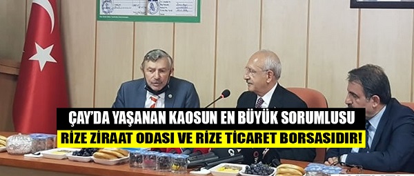 ÇAY’DA YAŞANAN KAOSUN EN BÜYÜK SORUMLUSU ? RİZE ZİRAAT ODASI VE RİZE TİCARET BORSASIDIR!