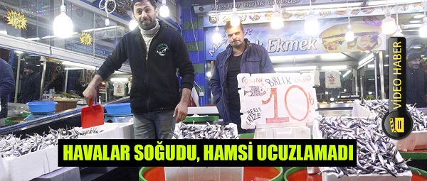 HAVALAR SOĞUDU, HAMSİ UCUZLAMADI