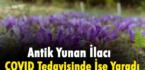 Antik Yunan İlacı COVID Tedavisinde İşe Yaradı