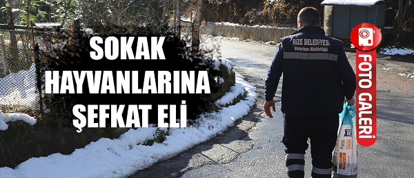 SOKAK HAYVANLARINA ŞEFKAT ELİ…