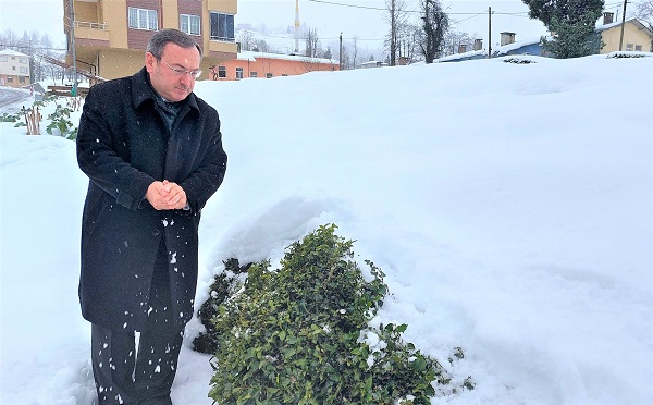 ÇAYKUR GENEL MÜDÜRÜ ALİM; KAR YAĞIŞI, ÇAYIMIZIN KALİTE VE VERİMİNİ ARTIRMAKTADIR