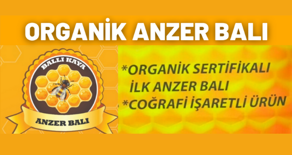 Organik Anzer Balı