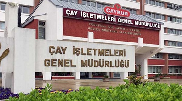 ÇAYKUR YAŞ ÇAY ALIMINDA 7 EYLÜL’DE RANDEVULU SİSTEME GEÇİYOR