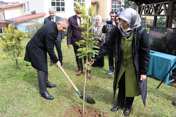 Okul Bahçeleri Meyve Fidanları ile Donatılıyor