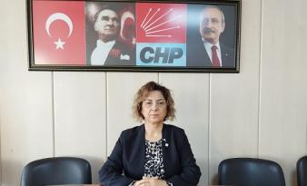 CHP KADIN KOLLARI BAŞKANI ARDAL ADAYLIK SİNYALİ VERDİ