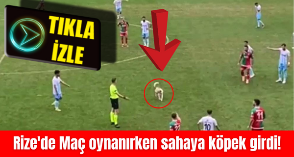 Rize’de Maç oynanırken sahaya köpek girdi!