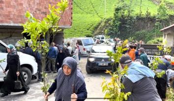 ÇAMLIHEMŞİN’DE YAPILAN FİDAN DAĞITIMINA VATANDAŞLARDAN YOĞUN İLGİ