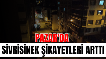 Pazar’da sivrisinek şikayetleri arttı