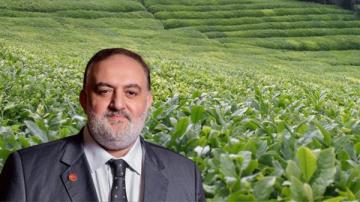 YRP Rize İl Başkanı Zerdeci: ”Çay stratejik bir üründür, kanunla korunmalıdır”
